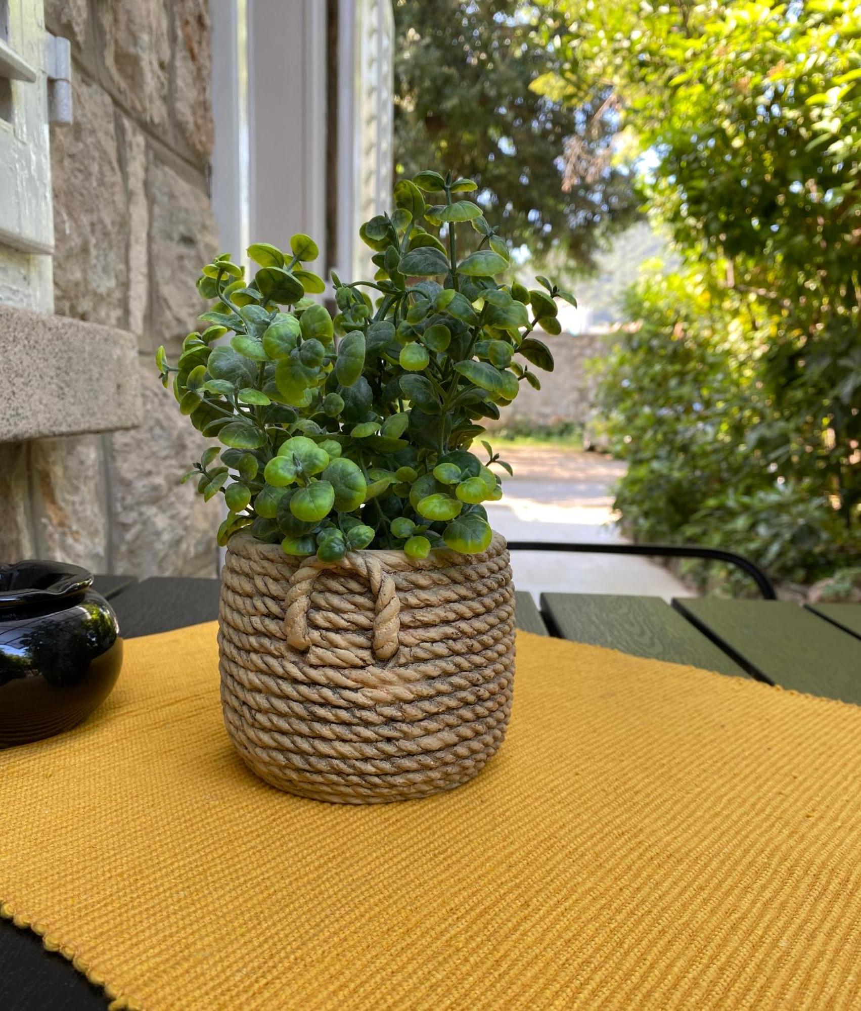 Apartment Mario Dubrovnik Exteriör bild